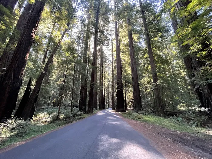 Albee Creek Campground Picture 2