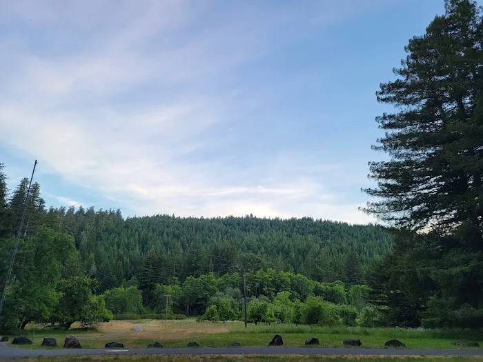 Albee Creek Campground Picture 8
