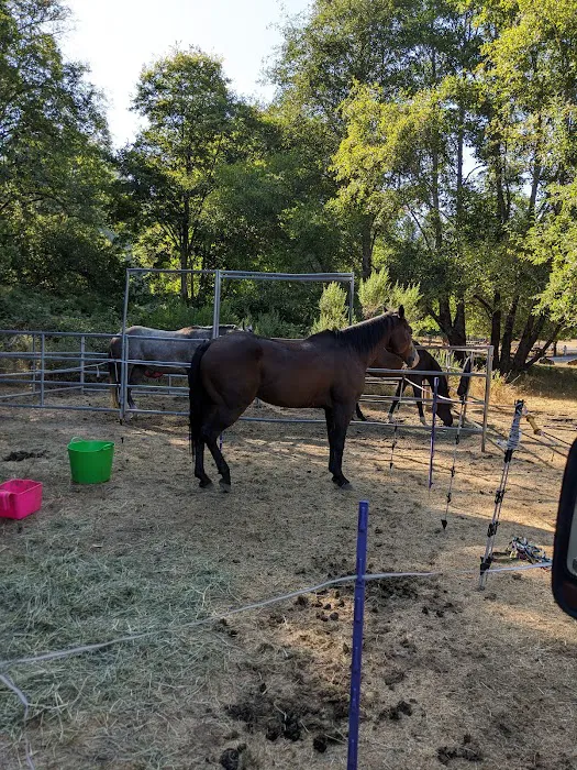 Cuneo Creek Horse Group Camp Picture 3