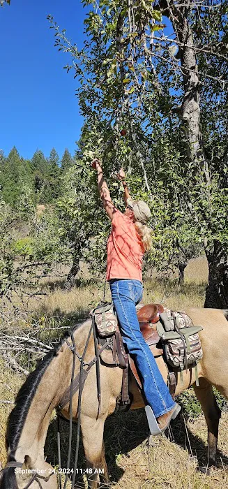 Cuneo Creek Horse Group Camp Picture 8