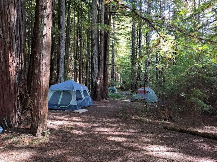 Baxter Environmental Camp Picture 7