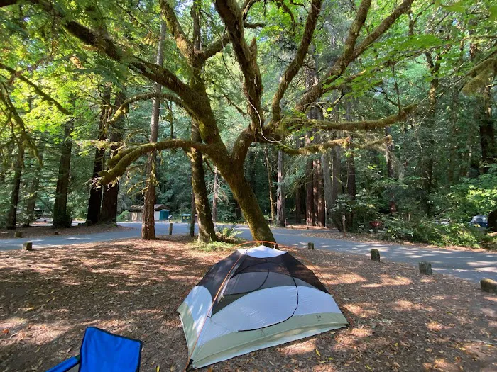 Grizzly Creek Redwoods Campground Picture 4