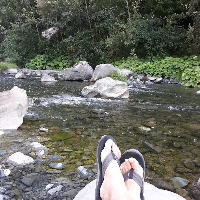 Grizzly Creek Redwoods Campground Picture 10