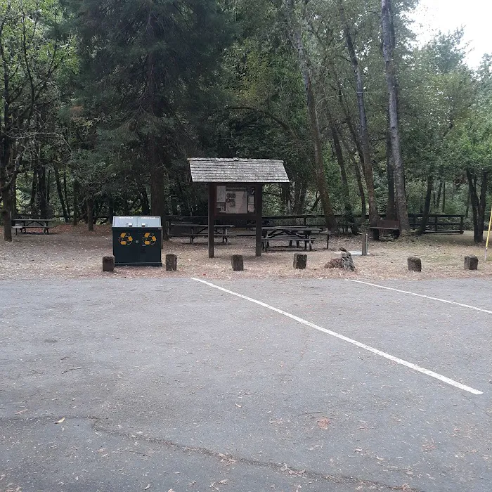 Grizzly Creek Redwoods Campground Picture 9