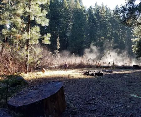 Beaver Dam Campground