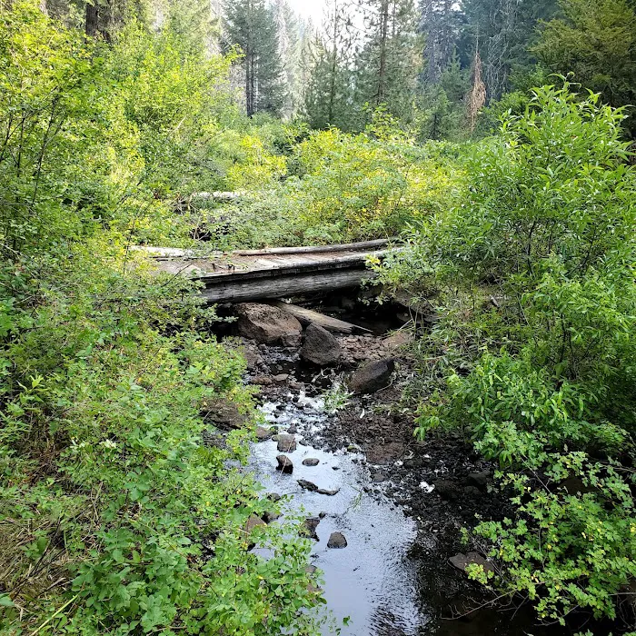 Daley Creek Campground Picture 1