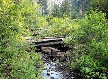 Daley Creek Campground