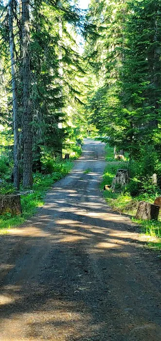 Daley Creek Campground Picture 6