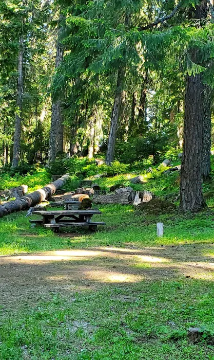 Daley Creek Campground Picture 5