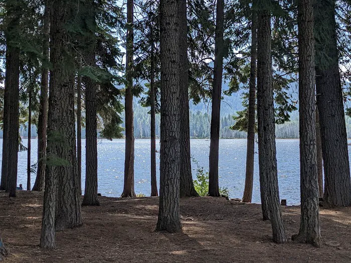 Aspen Point Campground - Lake of the Woods Picture 1