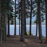 Aspen Point Campground - Lake of the Woods