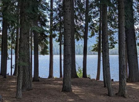 Aspen Point Campground - Lake of the Woods