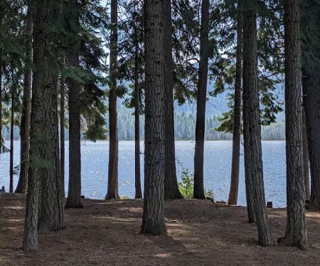 Aspen Point Campground - Lake of the Woods