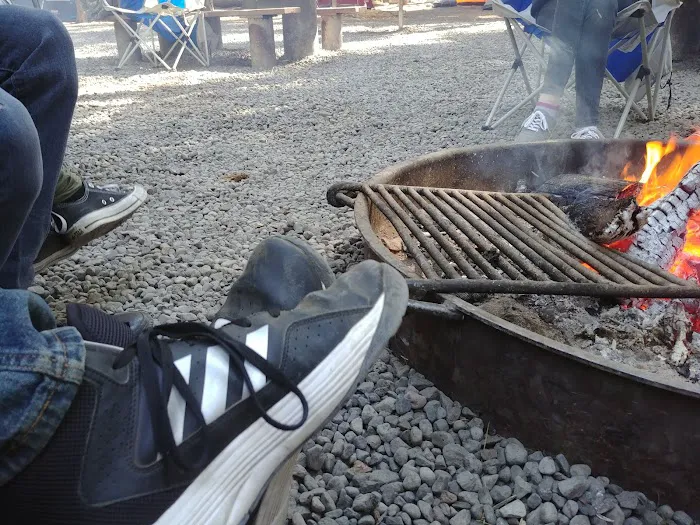 Aspen Point Campground - Lake of the Woods Picture 4