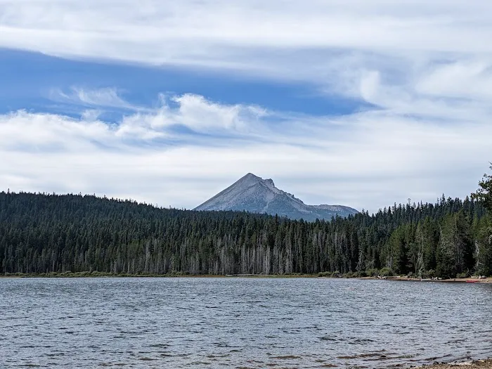 Aspen Point Campground - Lake of the Woods Picture 2