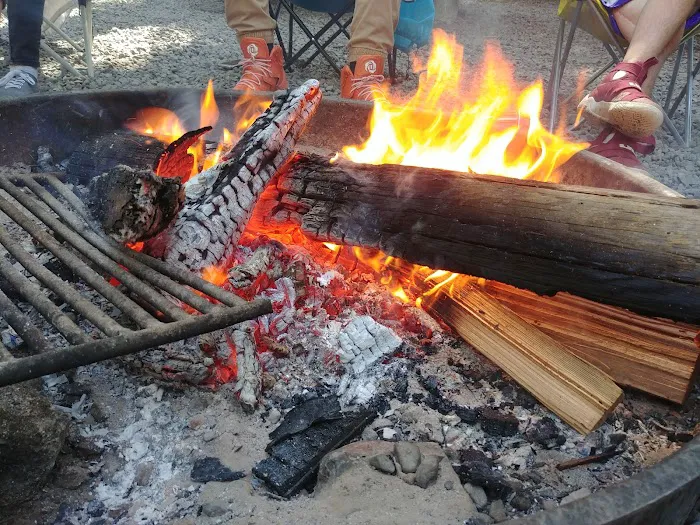 Aspen Point Campground - Lake of the Woods Picture 6