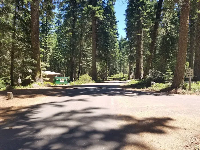 Aspen Point Campground - Lake of the Woods Picture 10