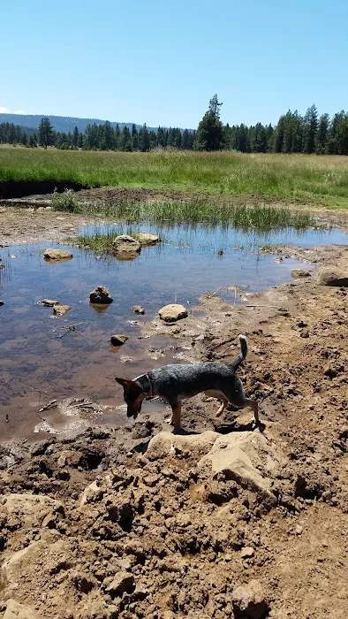 Lily Glen Campground Picture 4