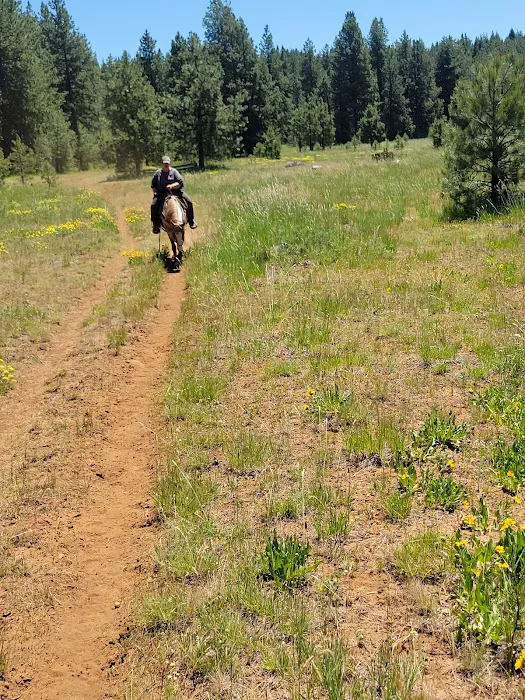 Lily Glen Campground Picture 5