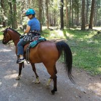 Lily Glen Campground ico