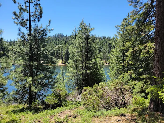 Lily Glen Campground Picture 9