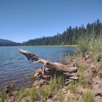 Doe Point Campground & Day Use