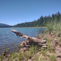 Doe Point Campground & Day Use ico