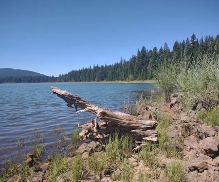 Doe Point Campground & Day Use