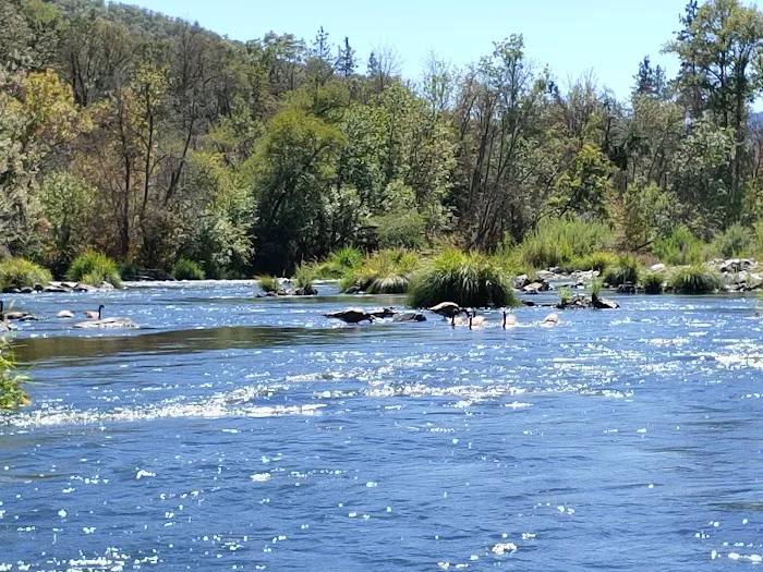 North Fork Campground Picture 6