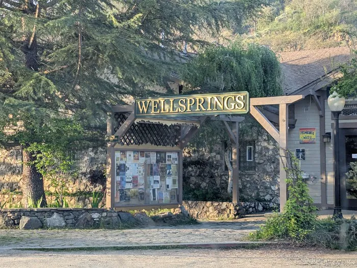 Jackson Wellsprings Picture 8