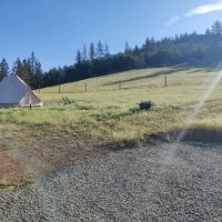 T7GR (777 Guest Ranch) ico
