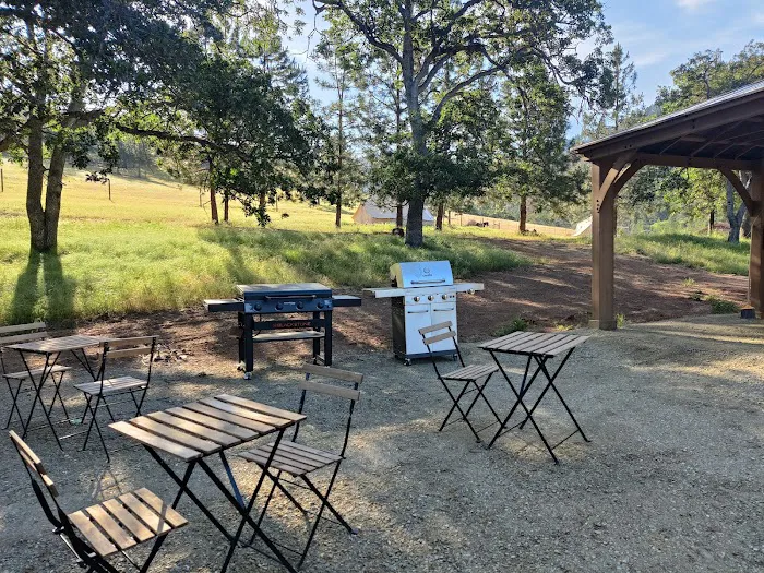 T7GR (777 Guest Ranch) Picture 2
