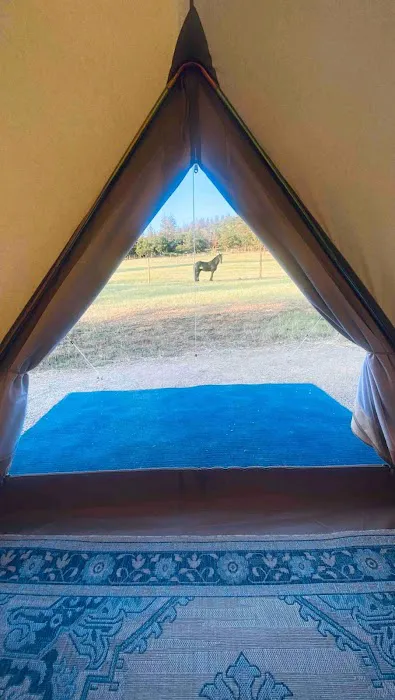 T7GR (777 Guest Ranch) Picture 9