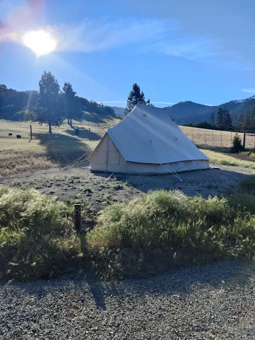 T7GR (777 Guest Ranch) Picture 7