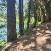 Acorn Woman Lakes ico