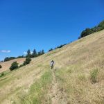 Charlie Buck / Baldy Peak Trailhead (recgovnpsdata)
