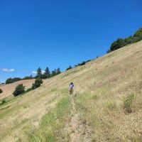 Charlie Buck / Baldy Peak Trailhead (recgovnpsdata) ico