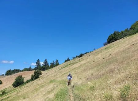 Charlie Buck / Baldy Peak Trailhead (recgovnpsdata)
