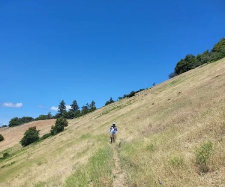 Charlie Buck / Baldy Peak Trailhead (recgovnpsdata)