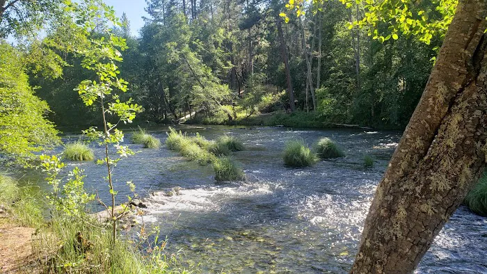 Jackson Campground on the Applegate River Picture 2