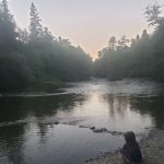 Jackson Campground on the Applegate River