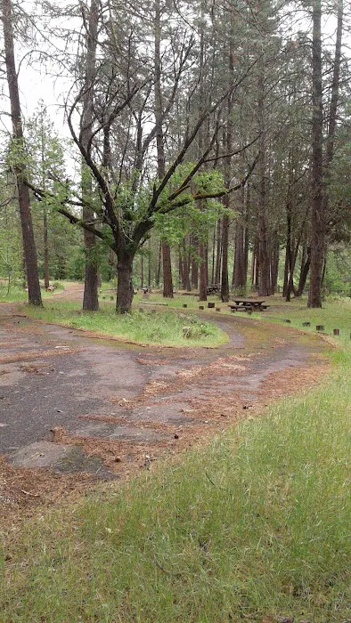 Flumet Flat Group Campground Picture 7