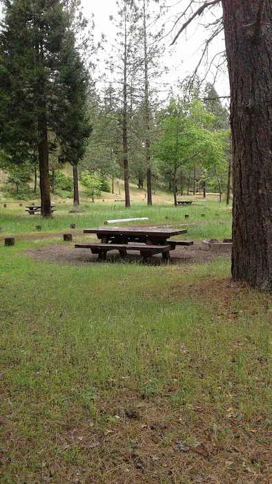 Flumet Flat Group Campground Picture 4