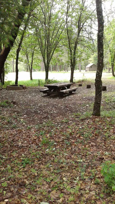 Flumet Flat Group Campground Picture 8
