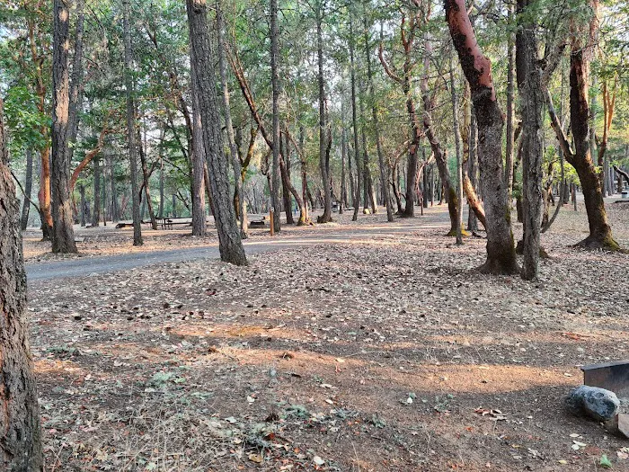 Cantrall Buckley Campground Picture 1