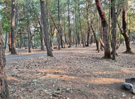 Cantrall Buckley Campground