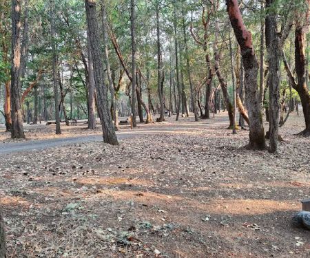 Cantrall Buckley Campground