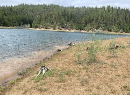 Harr Point Campground