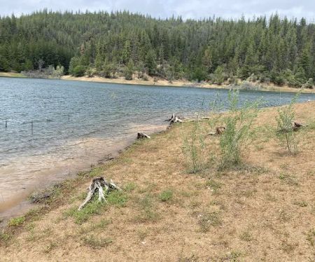 Harr Point Campground