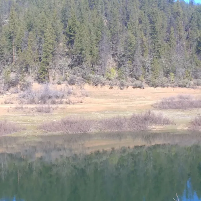 Harr Point Campground Picture 7